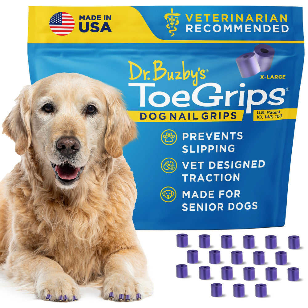 Dr. Buzby's ToeGrips help a dog stand confidently on hardwood floors.