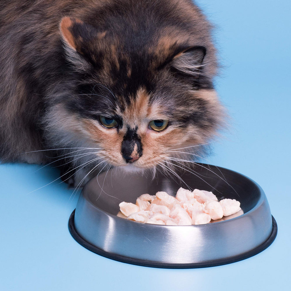 Dr. Catsby Food Bowl is dishwasher safe for quick cleanup.