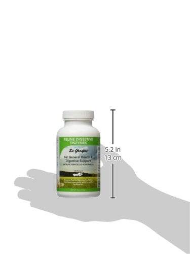 Dr. Goodpet digestive enzymes label closeup emphasizes all-plant vegan ingredients for pets.