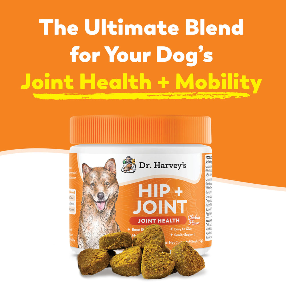 Dr. Harvey's chicken-flavor soft chews entice dogs while supporting joint flexibility.