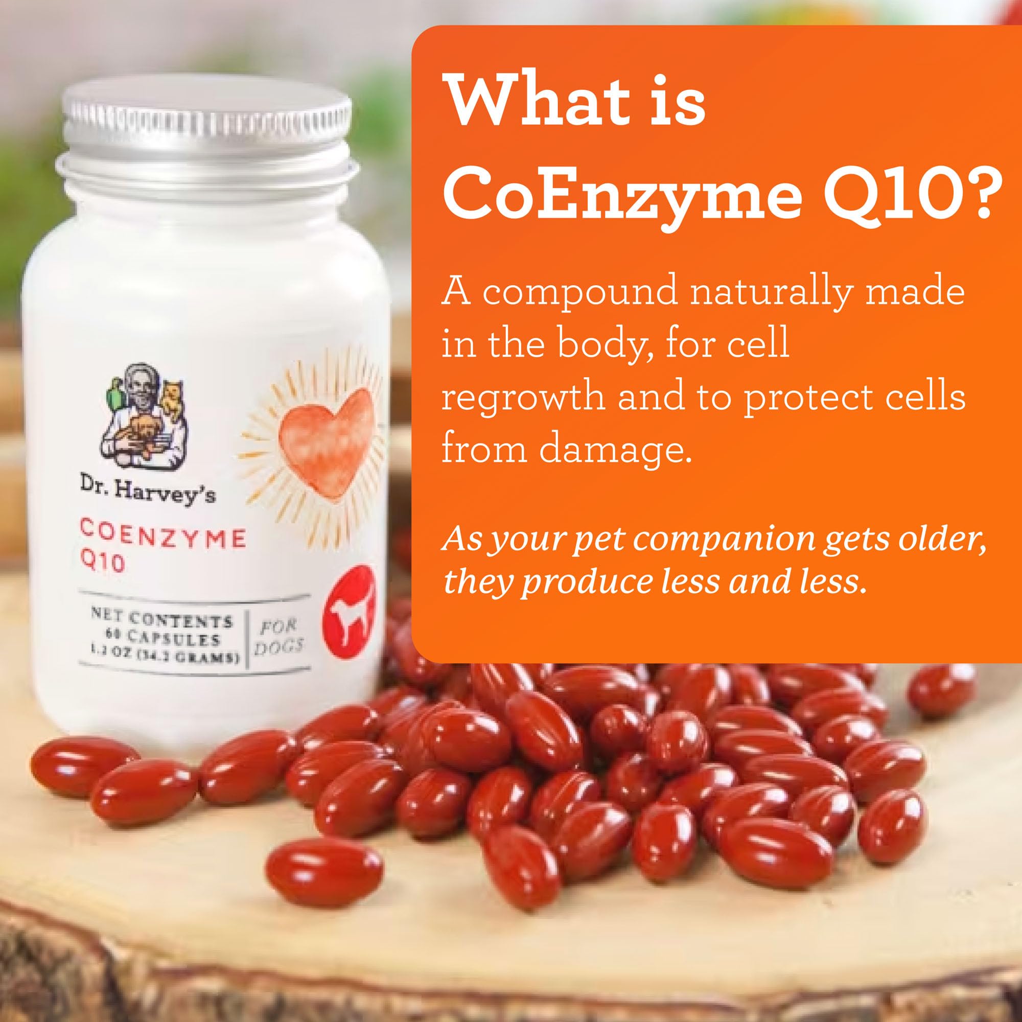 Dr. Harvey's Coenzyme Q10 capsules closeup for easy daily dosing