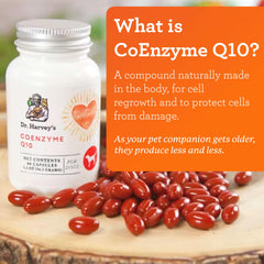 Dr. Harvey's Coenzyme Q10 capsules closeup for easy daily dosing
