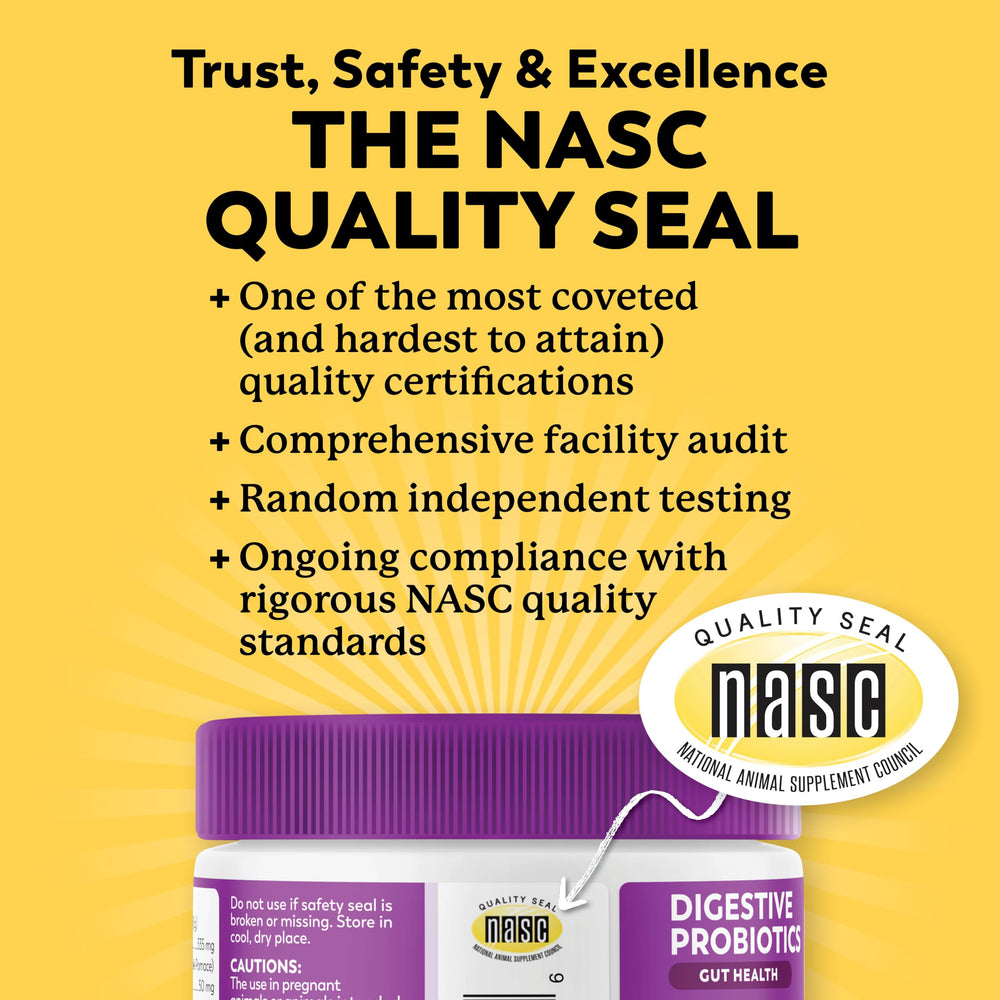 Dr. Harvey's Digestive Probiotic Soft Chews are dairy-free for sensitive dogs.