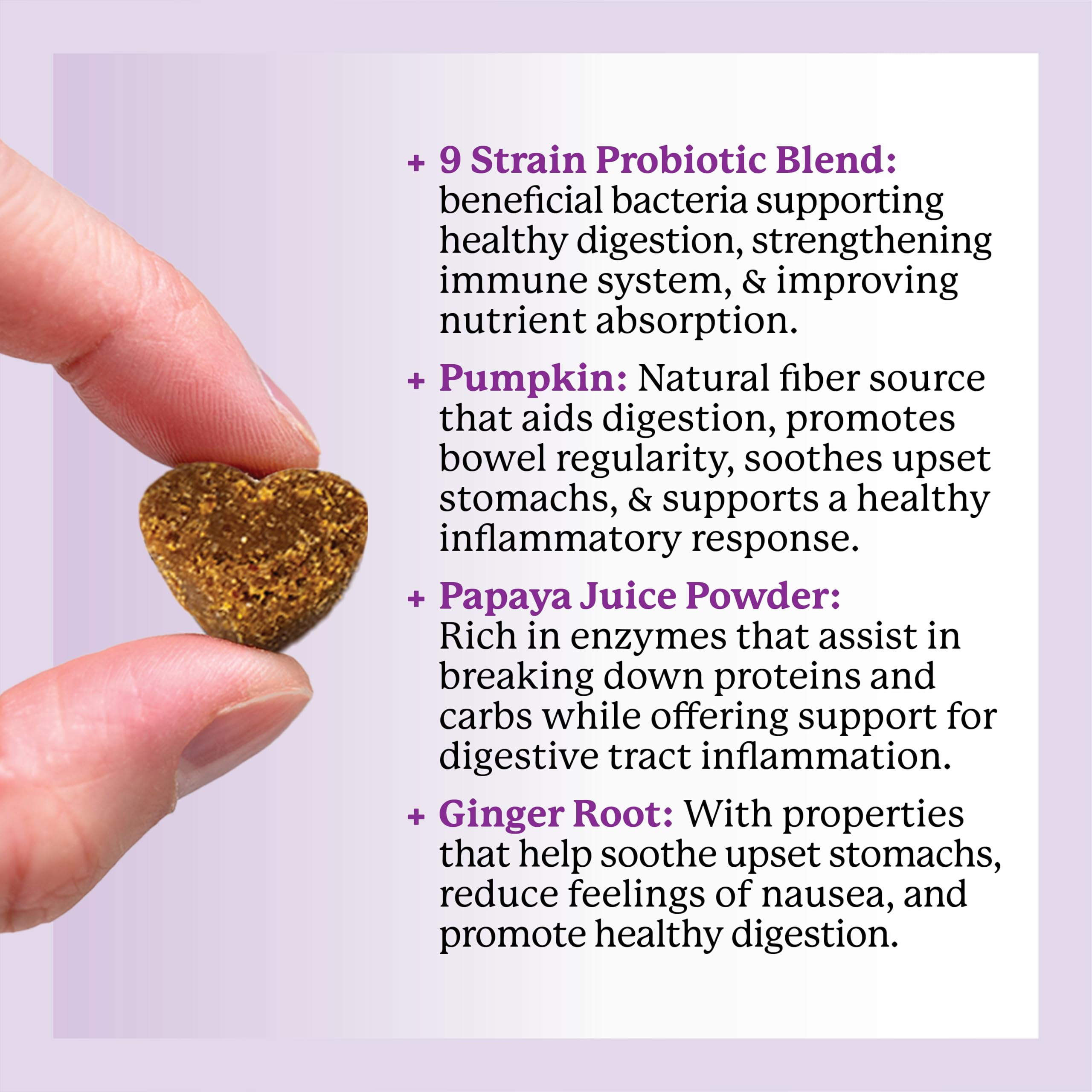 Dr. Harvey's Digestive Probiotic Soft Chews NASC quality seal signals trusted quality.