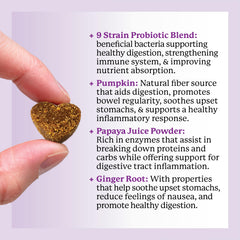Dr. Harvey's Digestive Probiotic Soft Chews NASC quality seal signals trusted quality.