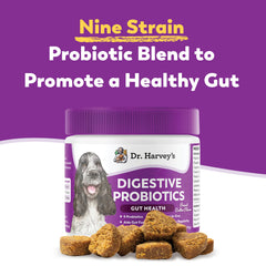 Dr. Harvey's Digestive Probiotic Soft Chews peanut butter flavor entices dogs.