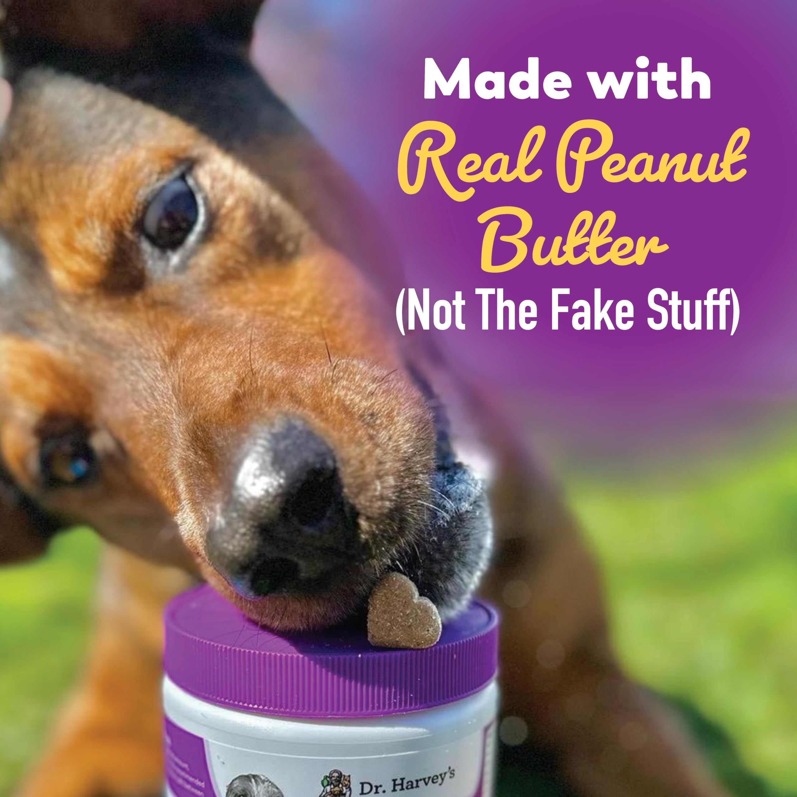 Dr. Harvey's Soft Chews with pumpkin and apple fiber aid digestion.