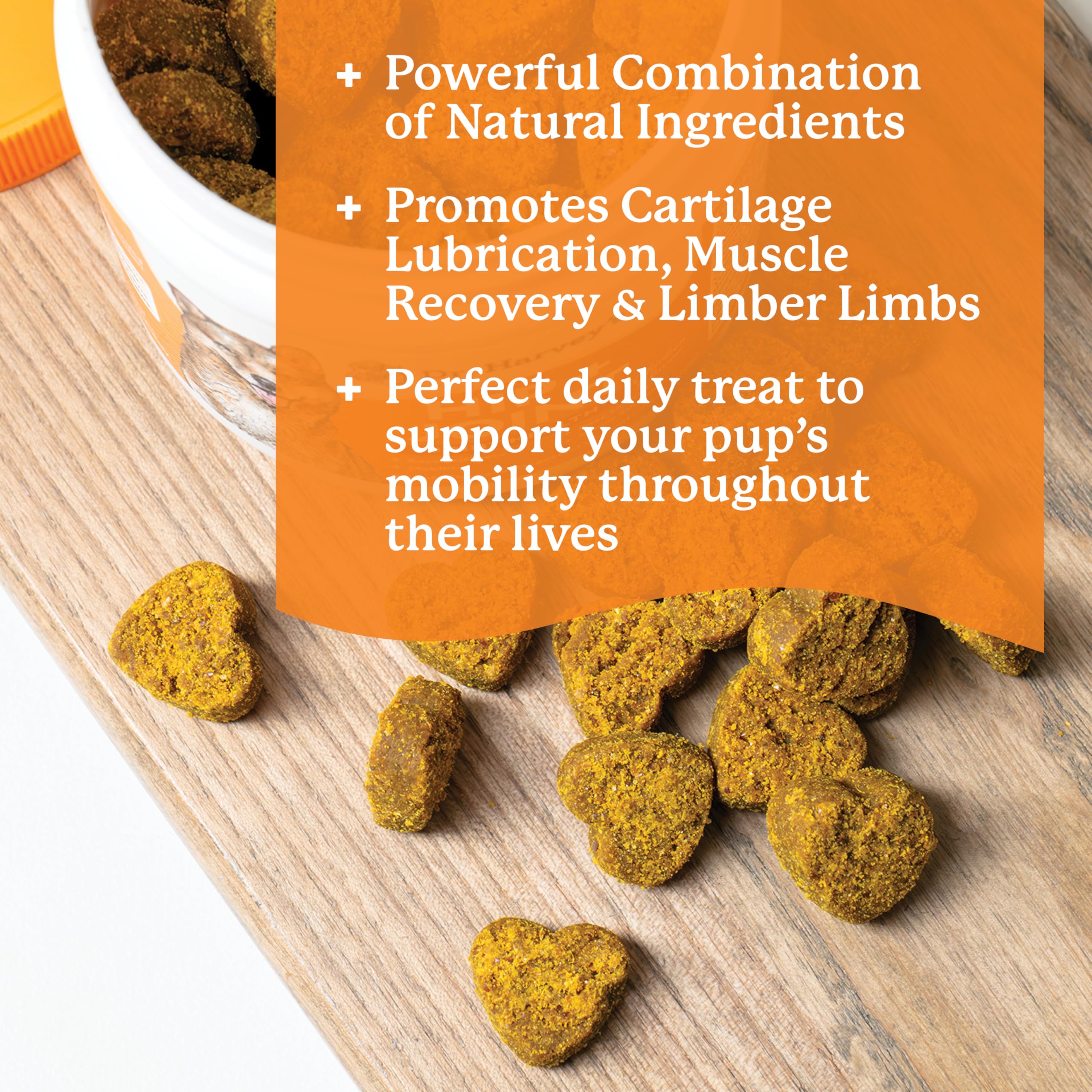 Dr. Harvey's glucosamine-msm-chondroitin soft chews promote healthy cartilage and smoother movement.