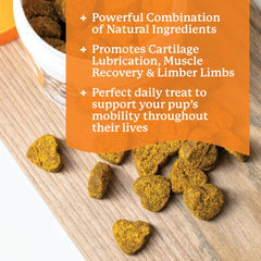 Dr. Harvey's glucosamine-msm-chondroitin soft chews promote healthy cartilage and smoother movement.