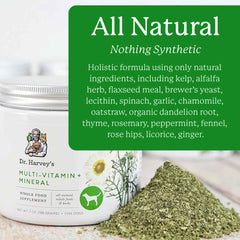 Dr. Harvey's Herbal Multi-Vitamin ingredients close-up for daily nutrition.