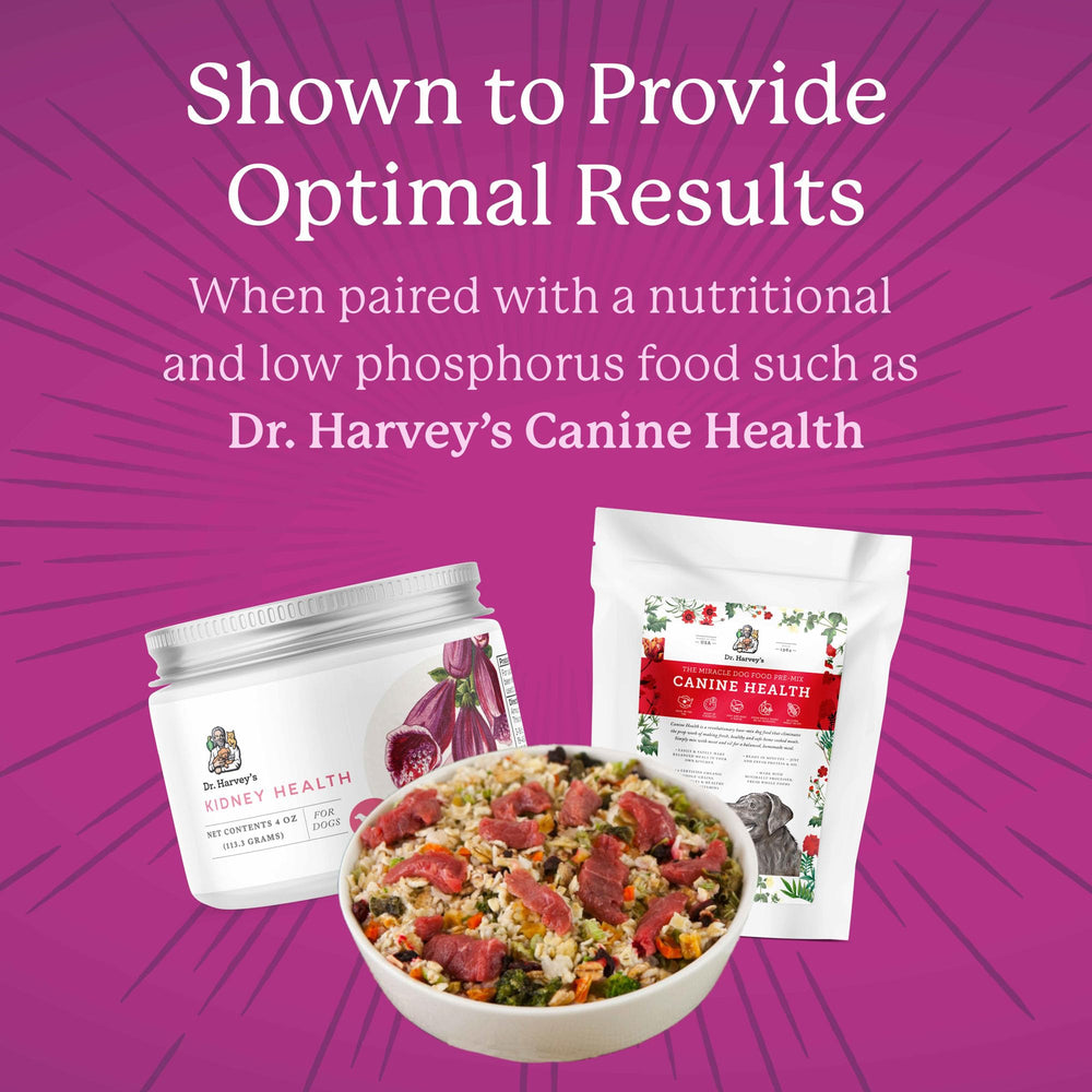 Dr. Harvey's Kidney Health codonopsis boosts immune function and overall vitality