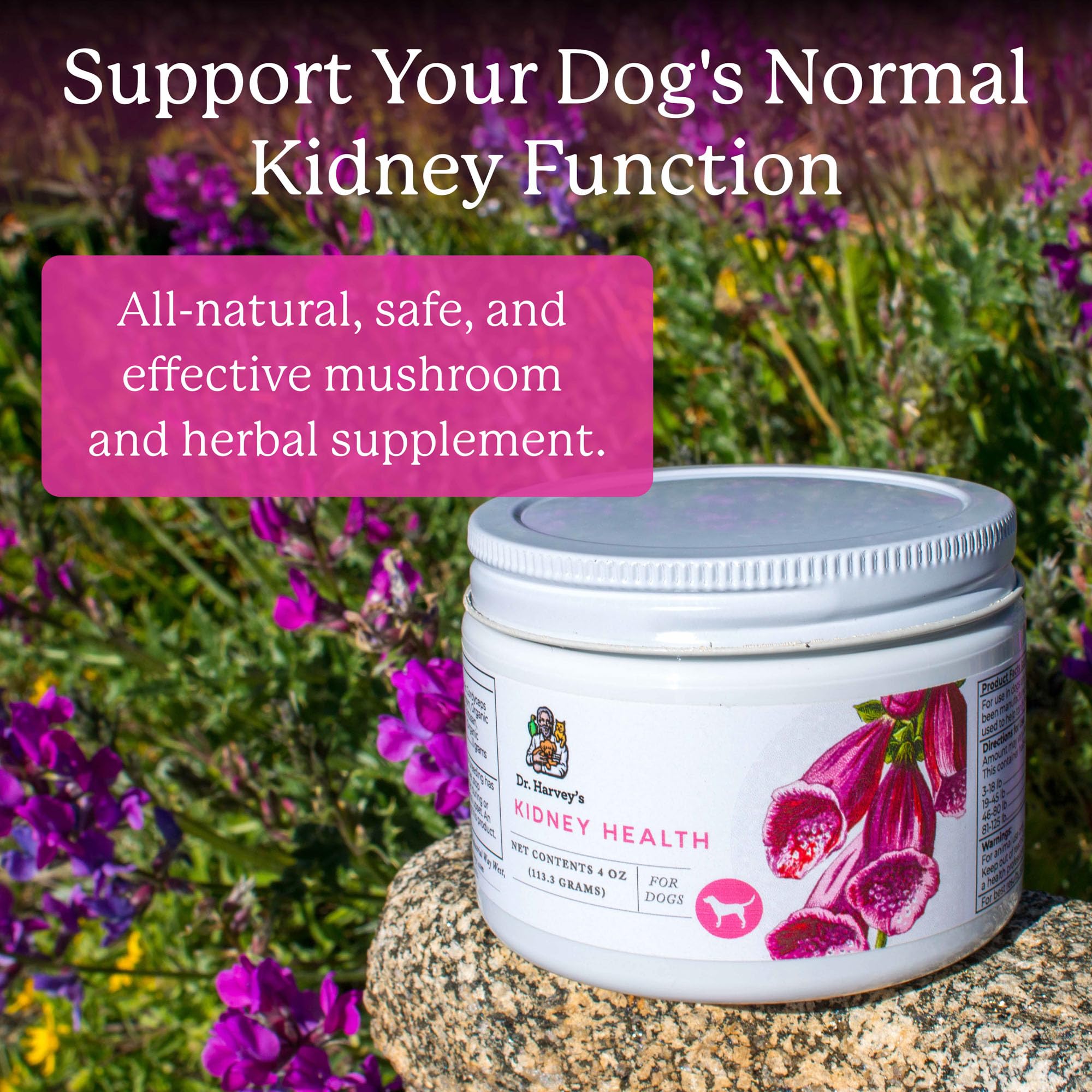 Dr. Harvey's Kidney Health dog serving dish highlighting easy meal mixing
