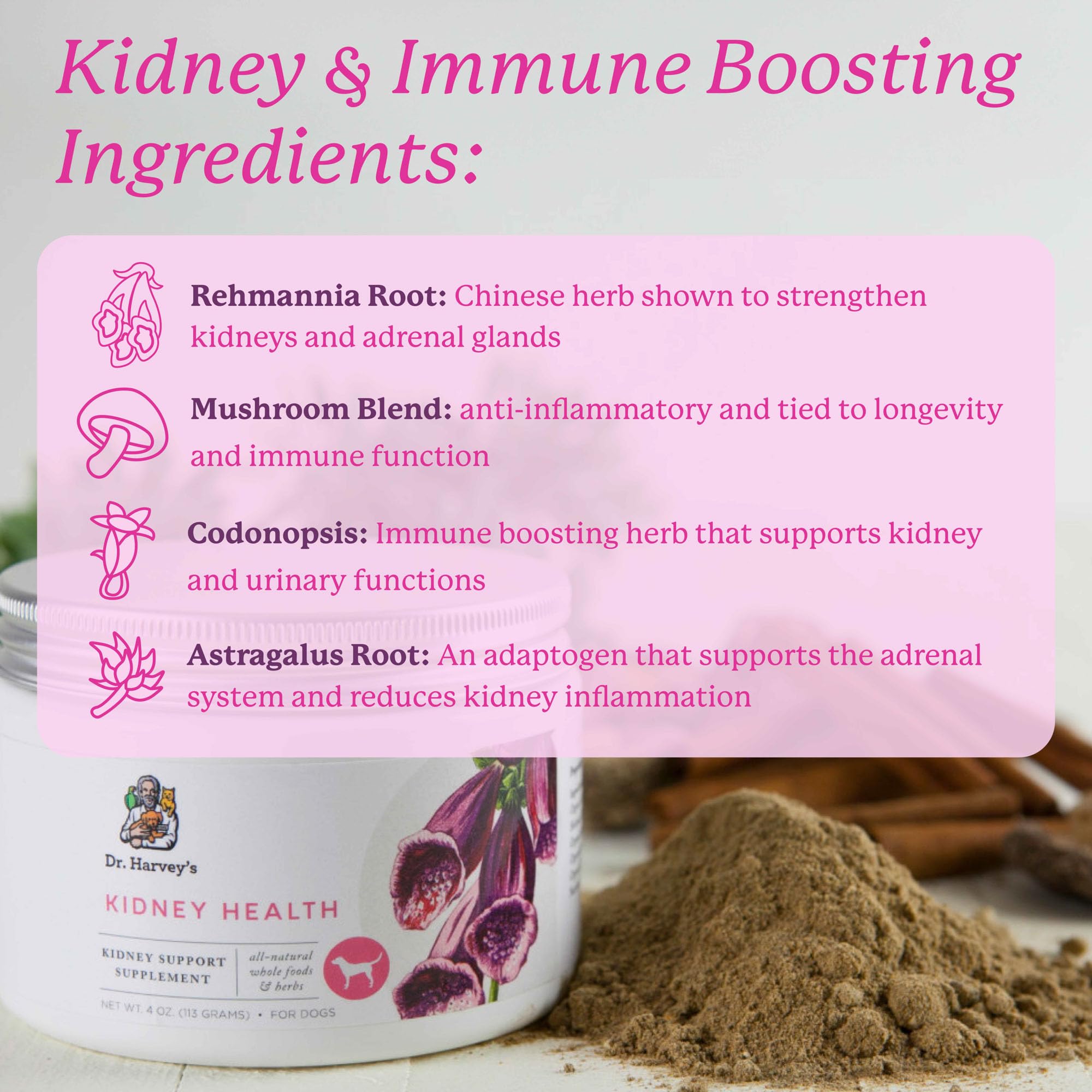 Dr. Harvey's Kidney Health organic mushrooms blend for holistic canine wellness