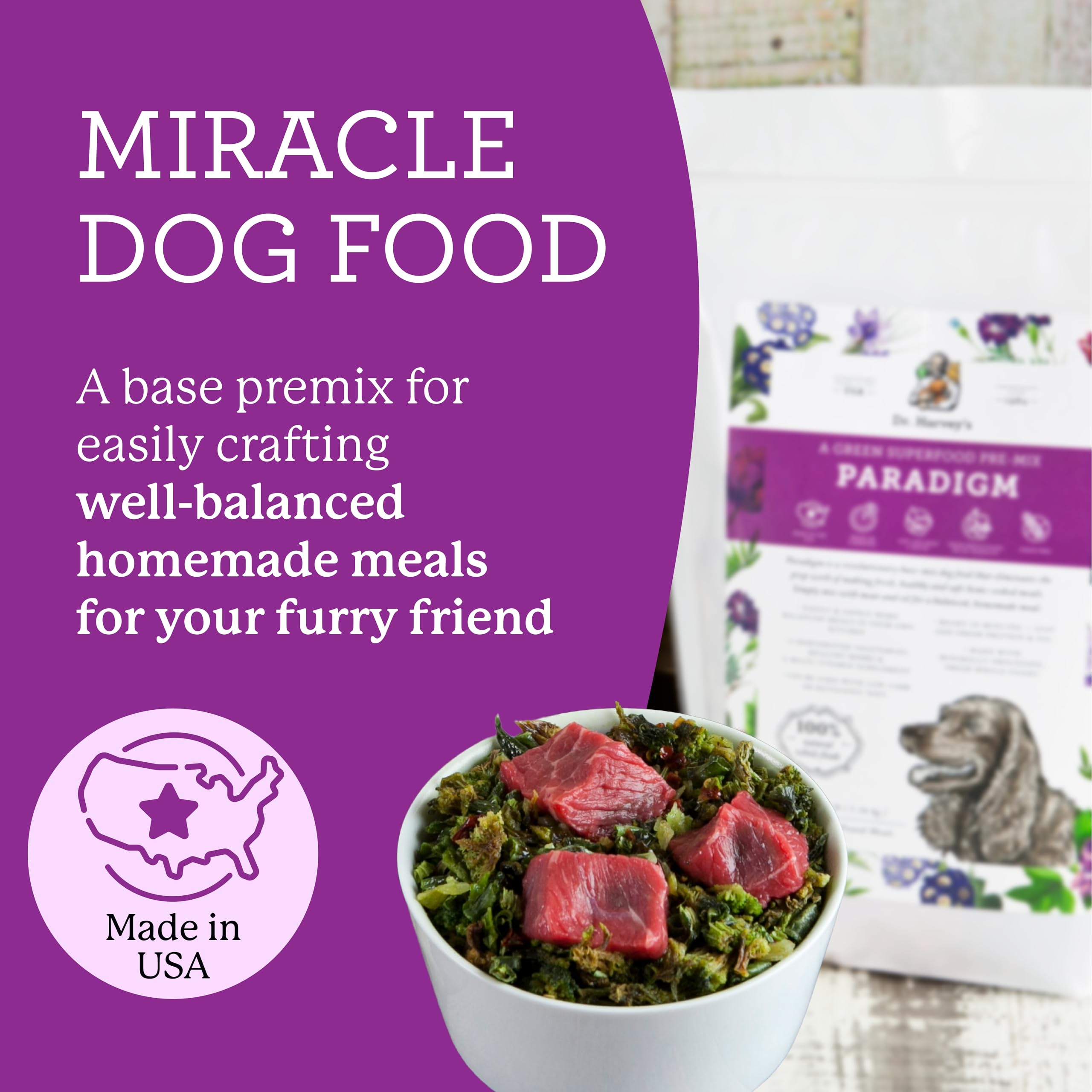 Paradigm base mix rehydrated in a dog bowl for customizable meals.