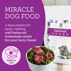 Paradigm base mix rehydrated in a dog bowl for customizable meals.