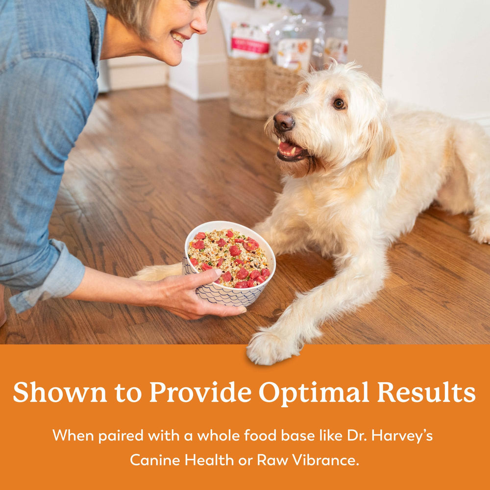 Dog on a walk with Dr. Harvey's Runs Be Done bottle for on-the-go dosing