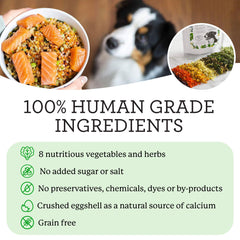 Dr. Harvey's Veg-to-Bowl crushed eggshells calcium close-up, natural calcium source for dogs