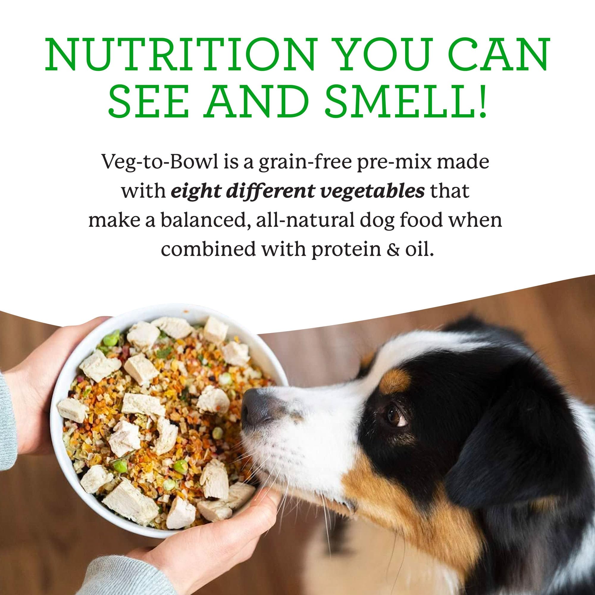 Dr. Harvey's Veg-to-Bowl paired with fish oil for healthy fats in dog diet