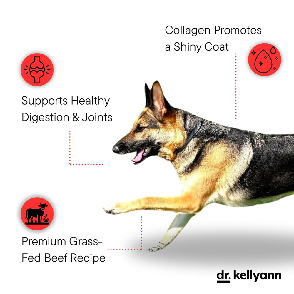 Dr. Kellyann coat-shine topper in bowl promotes healthy, glossy coat