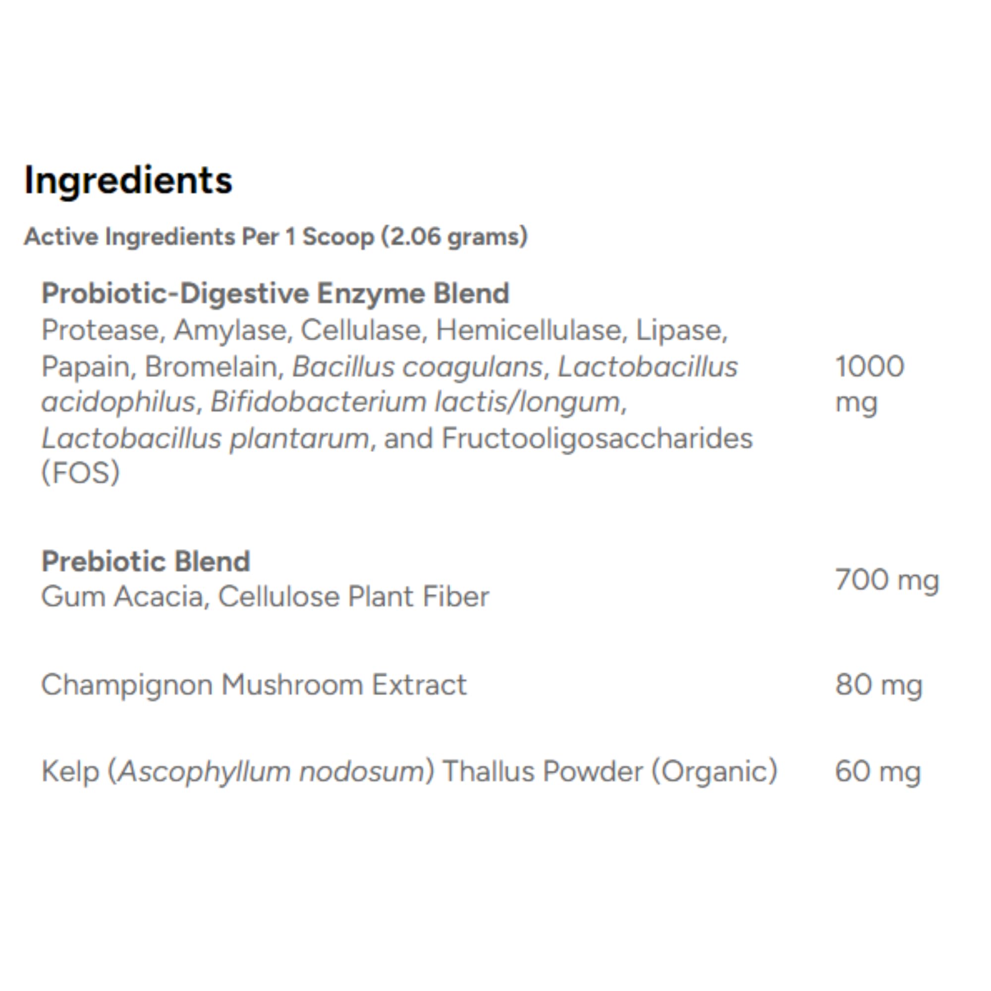 Dr. Marty ProPower Plus powder topper shown with dog food for easy use