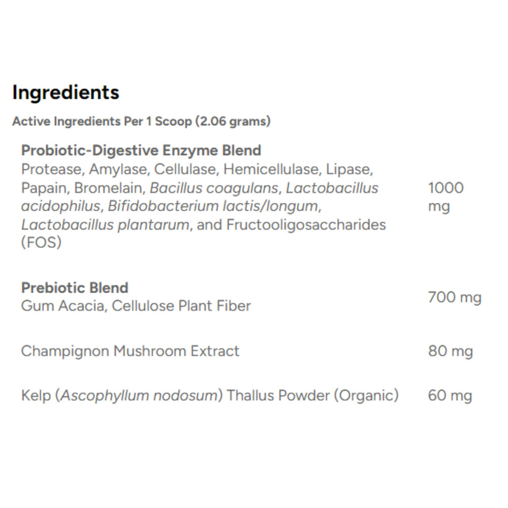 Dr. Marty ProPower Plus powder topper shown with dog food for easy use