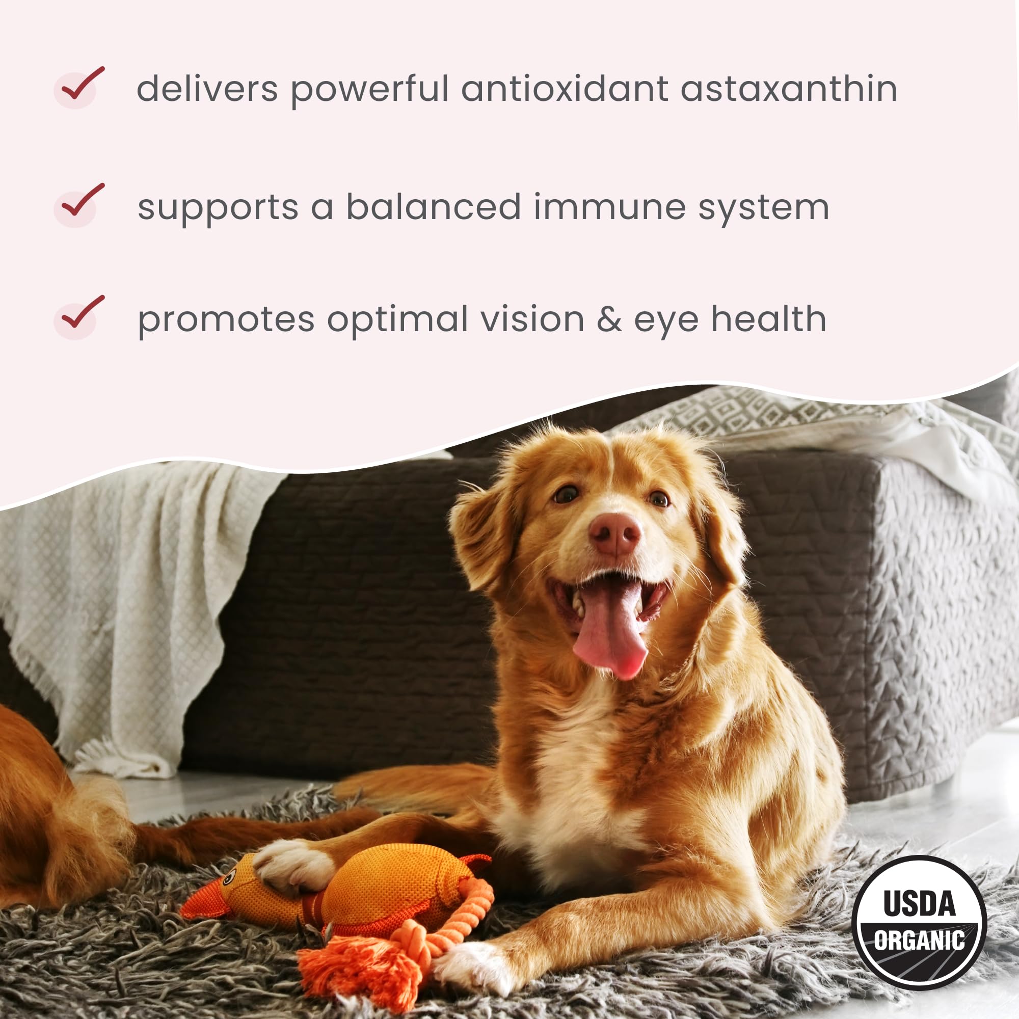 Dr. Mercola astaxanthin sustainable packaging highlights glass or recyclable materials.