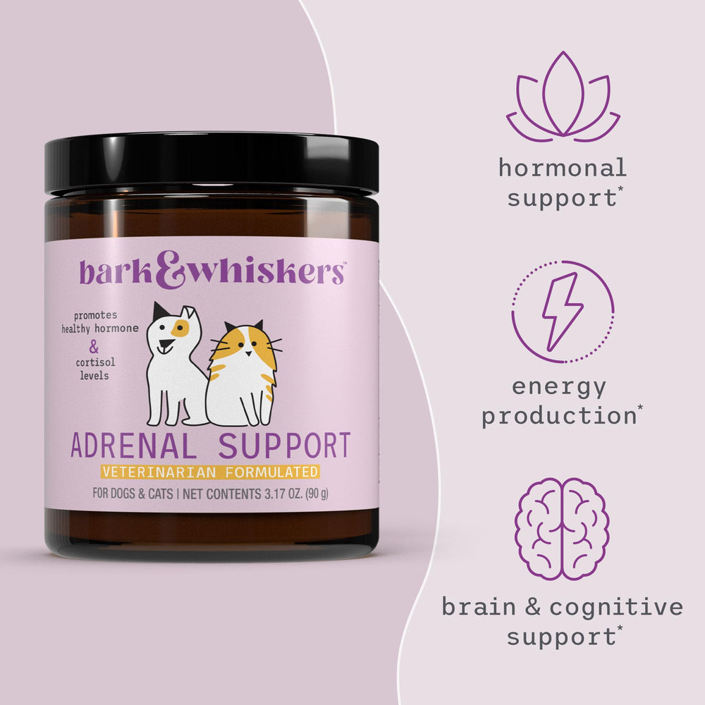 Dr. Mercola Bark & Whiskers Adrenal Support ashwagandha extract supports daily calm.