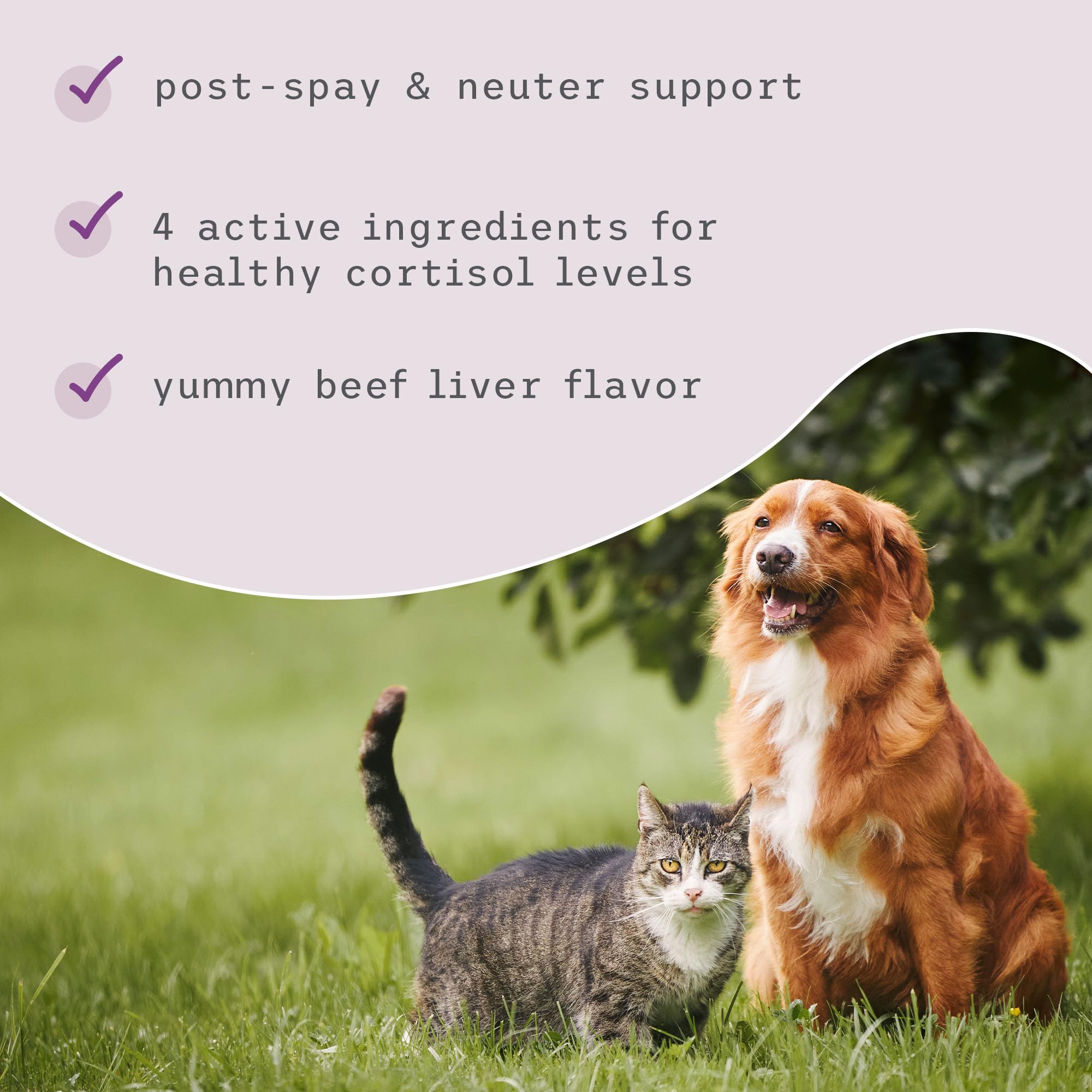 Dr. Mercola Bark & Whiskers Adrenal Support Norway spruce lignan extract aids hormone support.