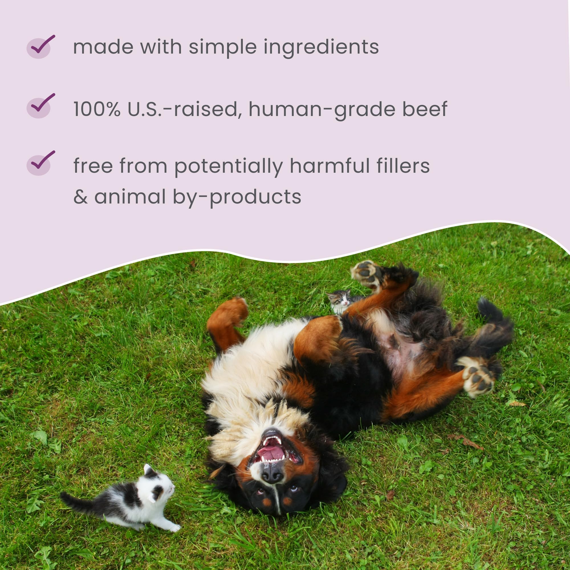 Dr. Mercola Bark & Whiskers serving suggestion featuring crunchy bites for dogs and cats.