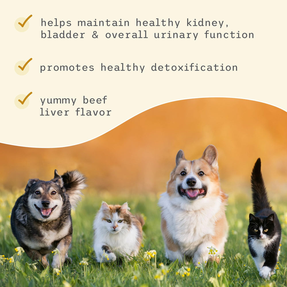 Dr. Mercola Bark & Whiskers serving suggestion demonstrates daily use for longer walks.