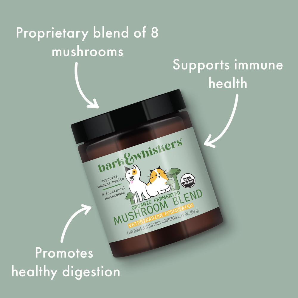 Cat paw near Bark & Whiskers powder for a pet-friendly routine.