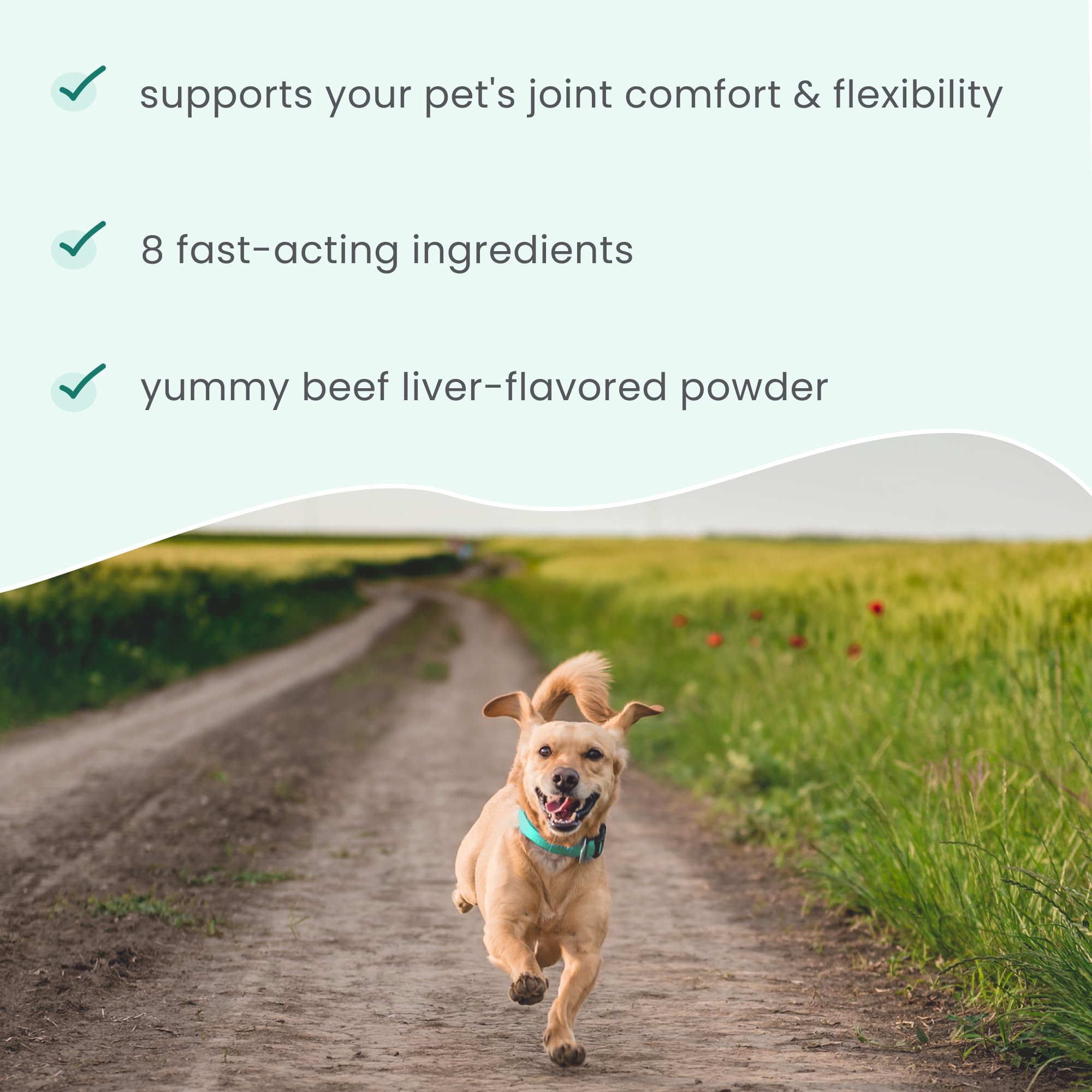 Dr. Mercola Bark & Whiskers collagen from organic beef bone broth supports cartilage.