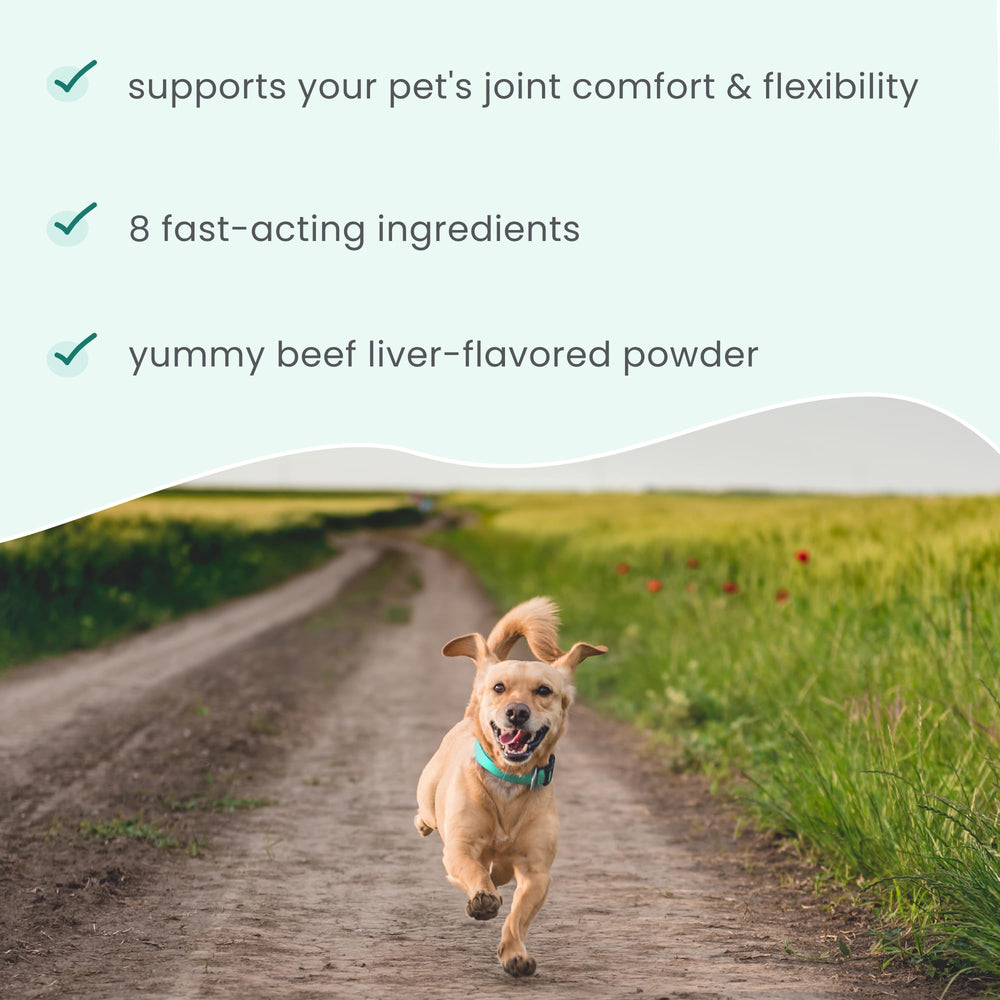 Dr. Mercola Bark & Whiskers collagen from organic beef bone broth supports cartilage.