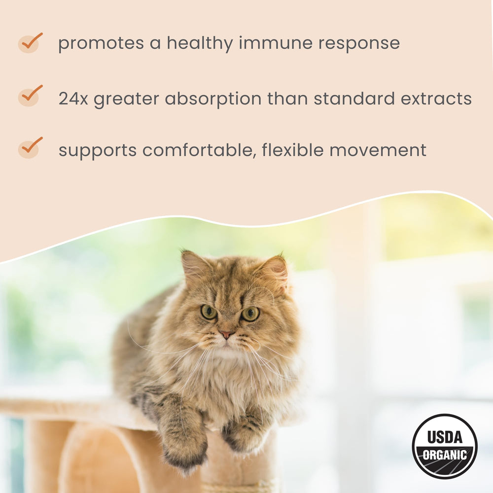 Dr. Mercola Bark & Whiskers organic packaging emphasizes non-GMO and USDA Organic standards.