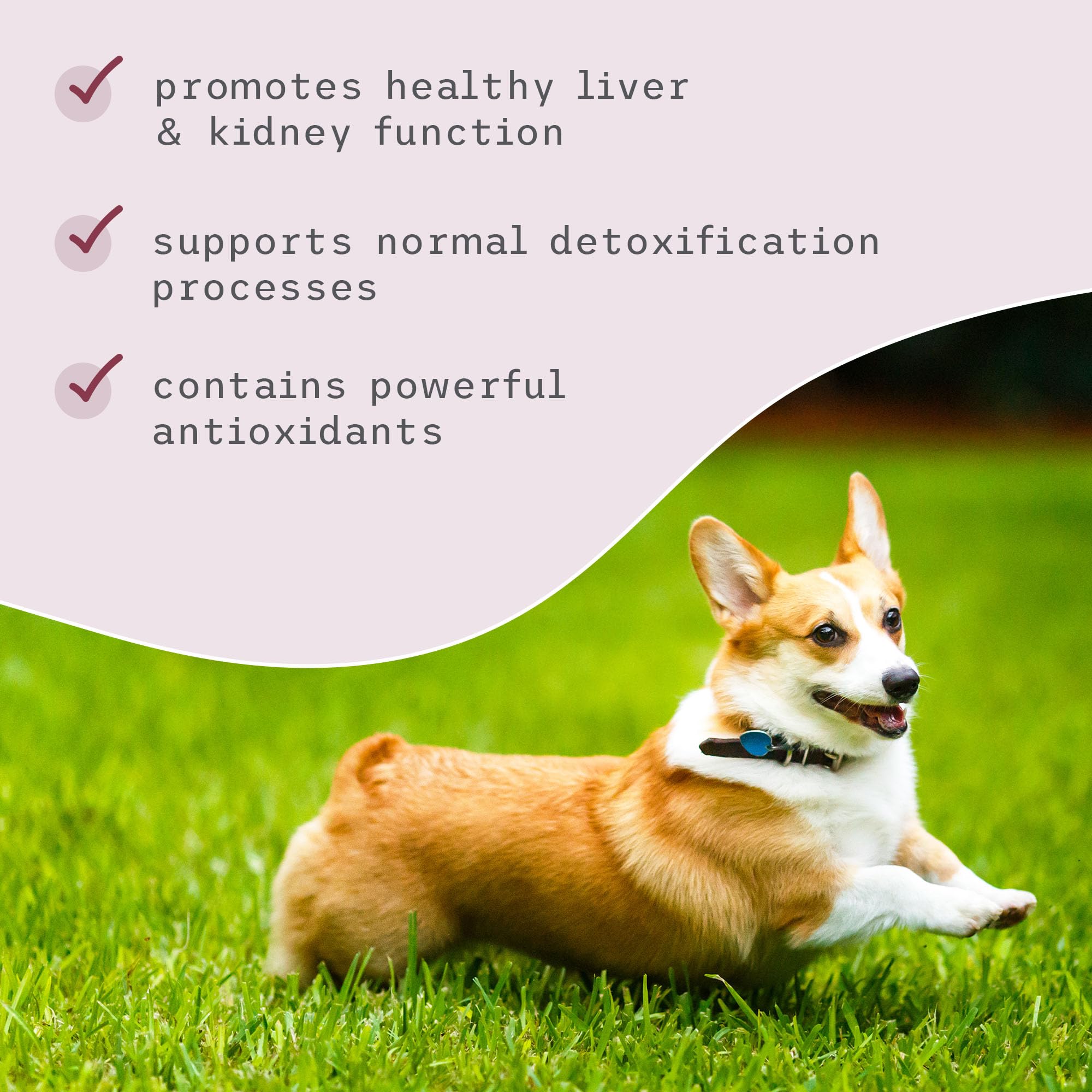 Dr. Mercola Bark & Whiskers Detox packaging and label design