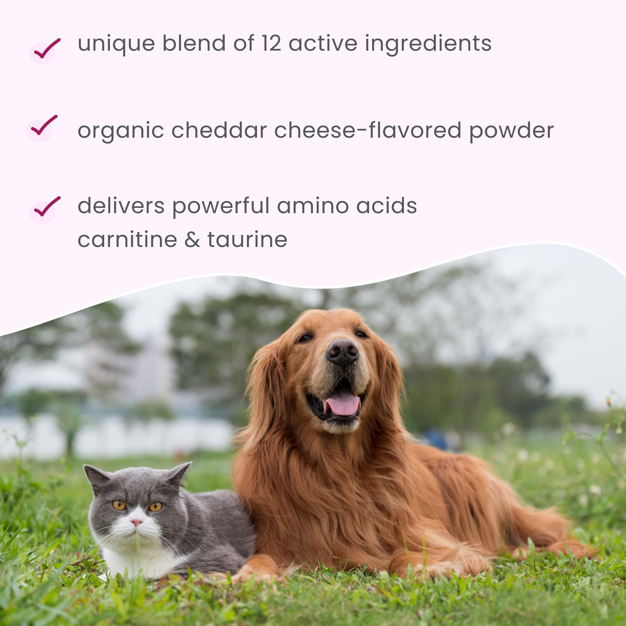 Dr. Mercola Bark & Whiskers ingredient panel highlights taurine, L-carnitine, glycine among others.