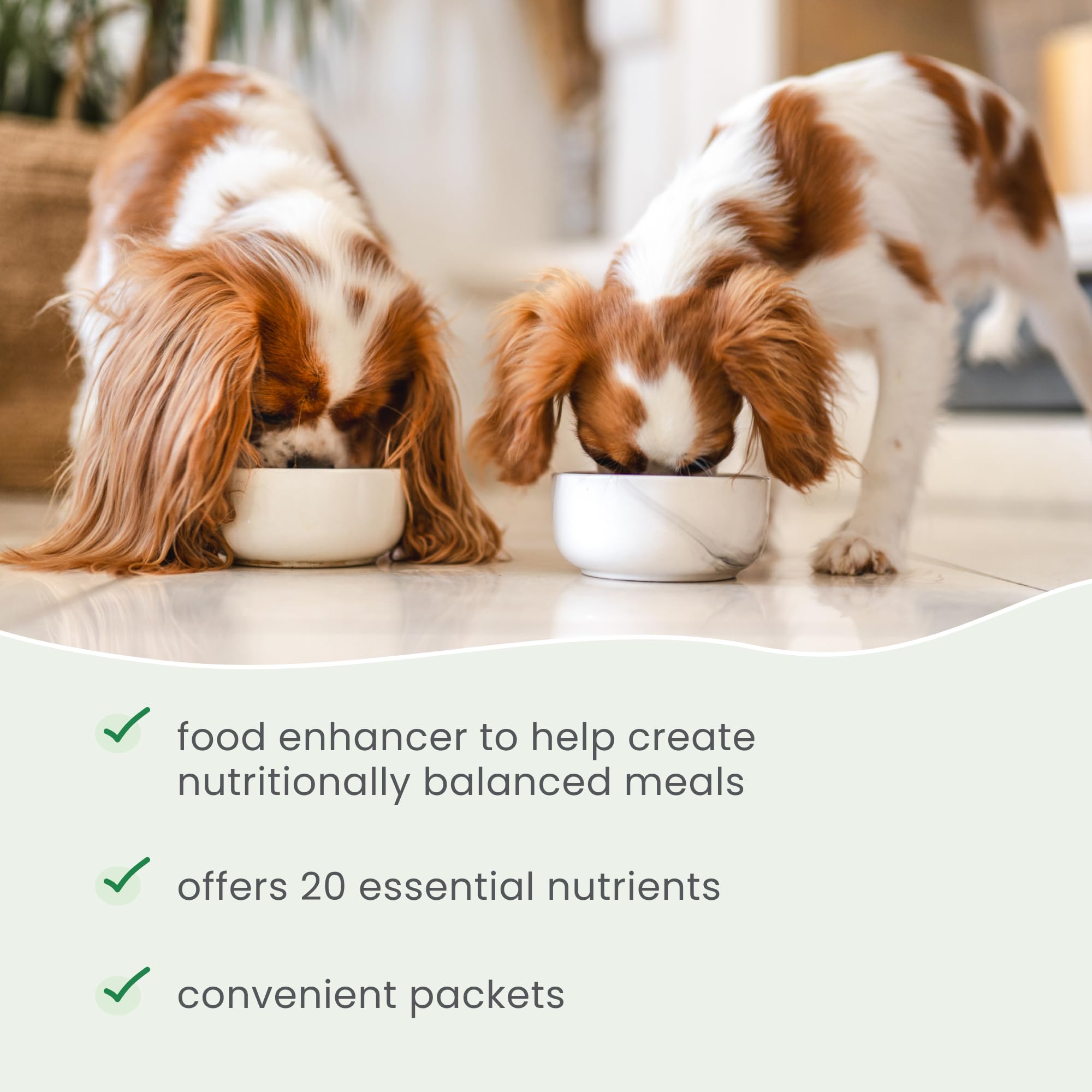 Dr. Mercola Bark & Whiskers meal mix Recipe Generator card suggests personalized feeding