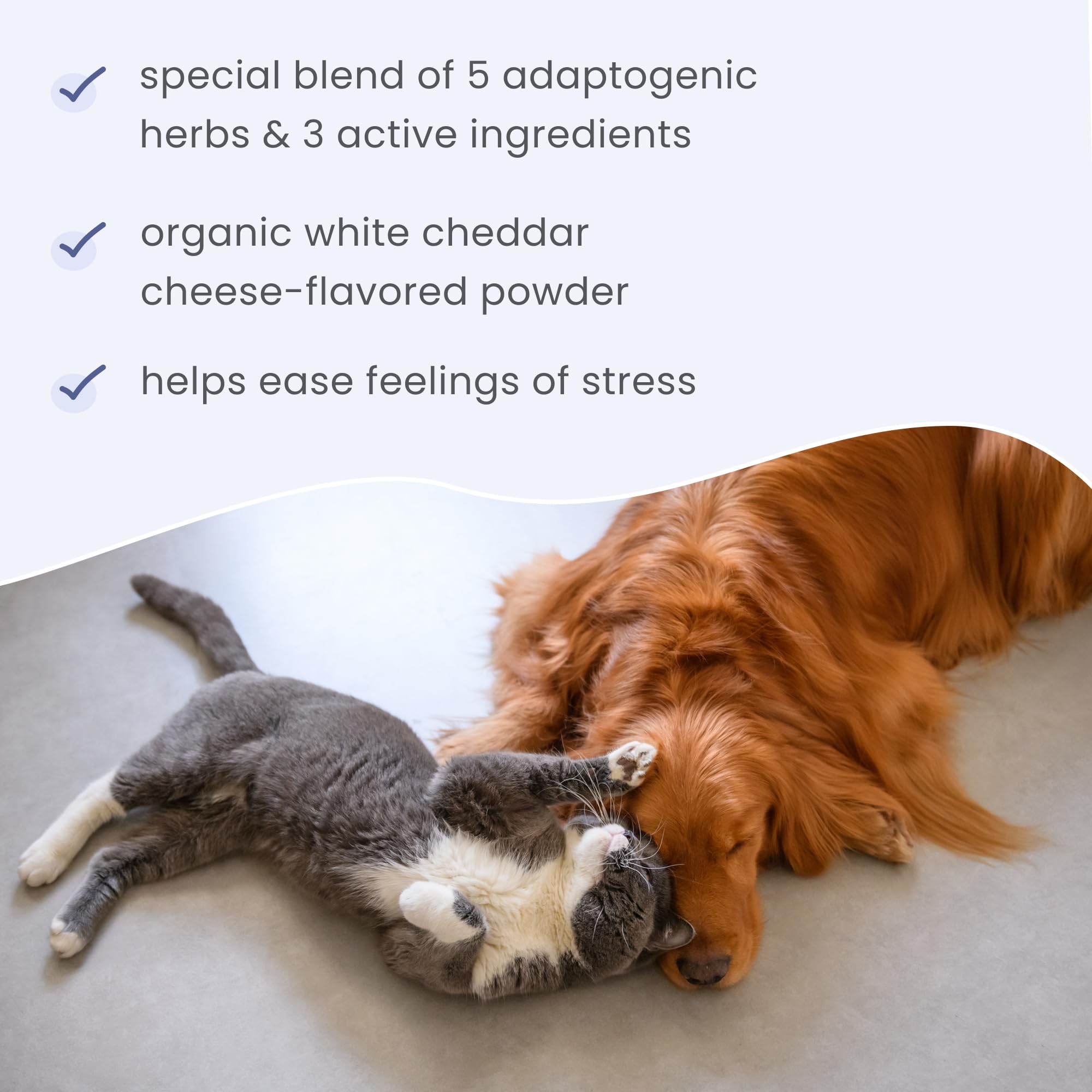 Dr. Mercola Bark & Whiskers non-GMO gluten-free and soy-free profile.