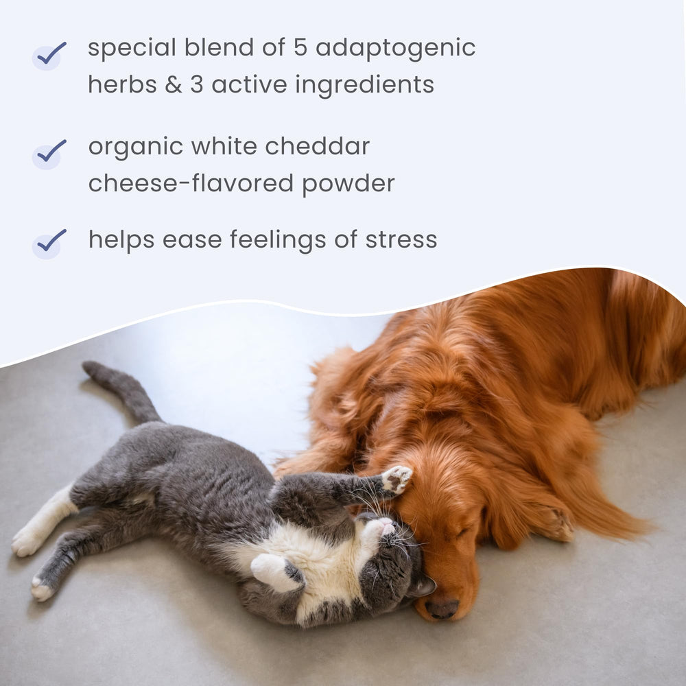 Dr. Mercola Bark & Whiskers non-GMO gluten-free and soy-free profile.