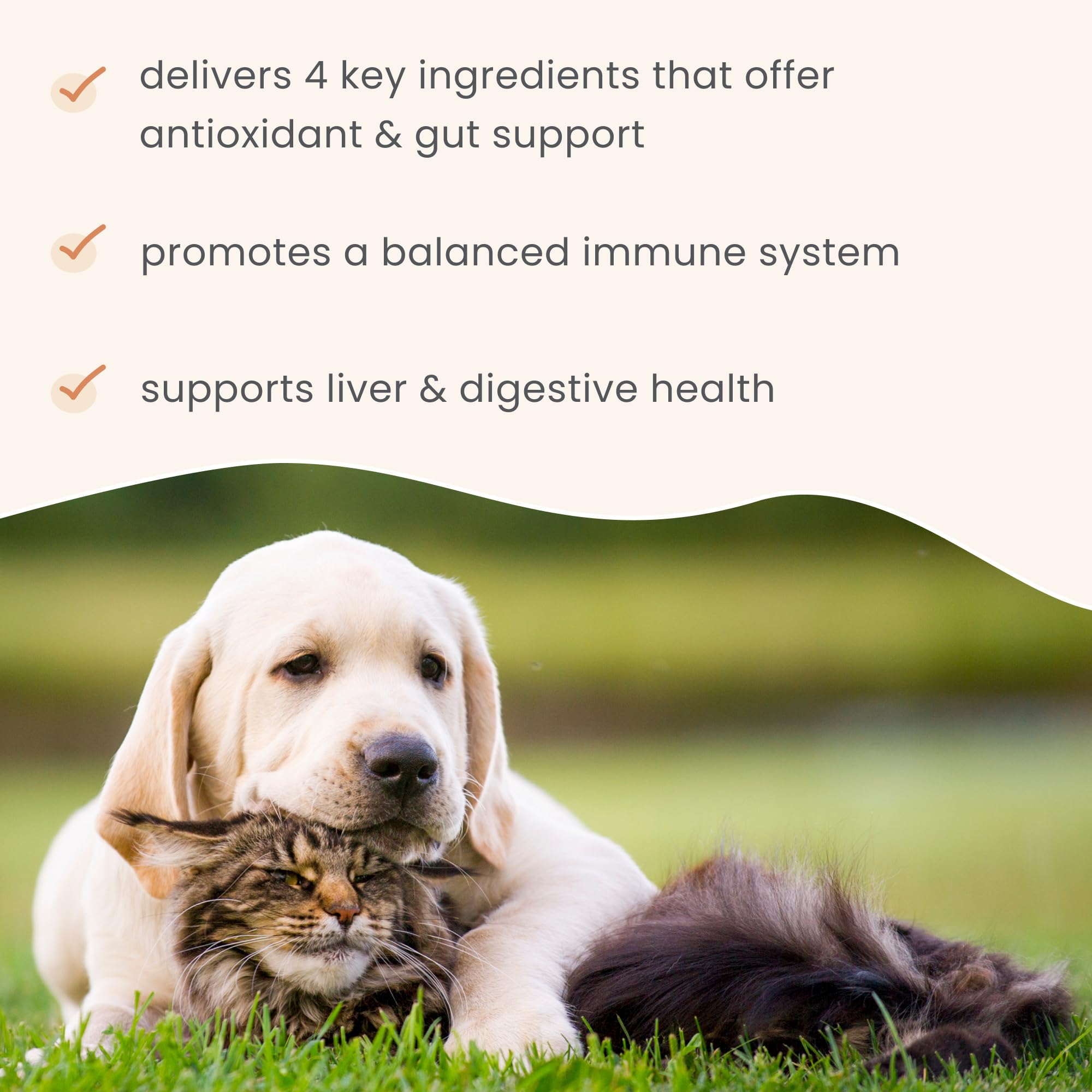 Dr. Mercola Bark and Whiskers Immune Support non-GMO and soy-free certification badge.