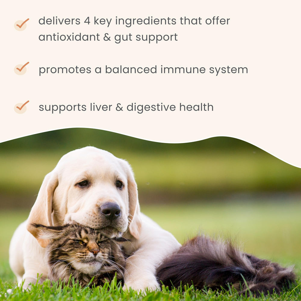 Dr. Mercola Bark and Whiskers Immune Support non-GMO and soy-free certification badge.