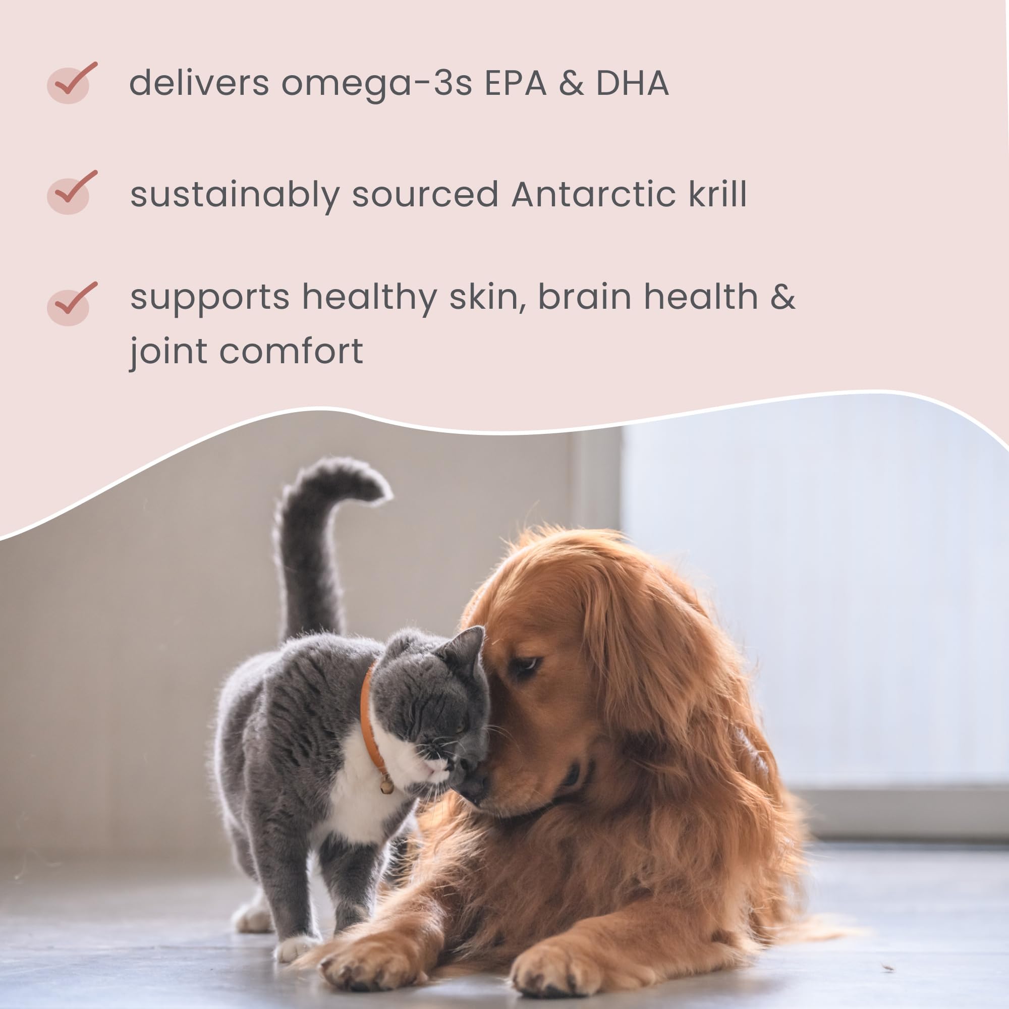 Dr. Mercola Bark and Whiskers omega DHA label with EPA and DHA content for brain support