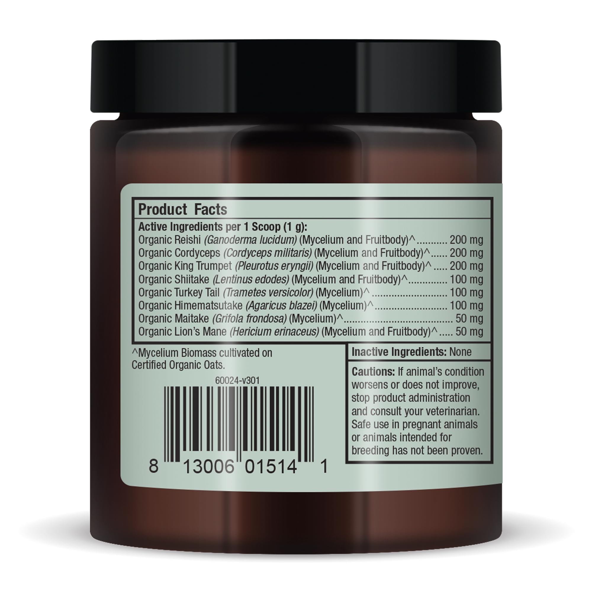 Organic mushroom close-up highlighting beta glucans and antioxidants in Bark & Whiskers.