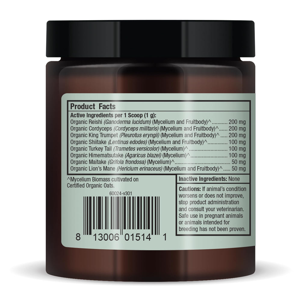 Organic mushroom close-up highlighting beta glucans and antioxidants in Bark & Whiskers.