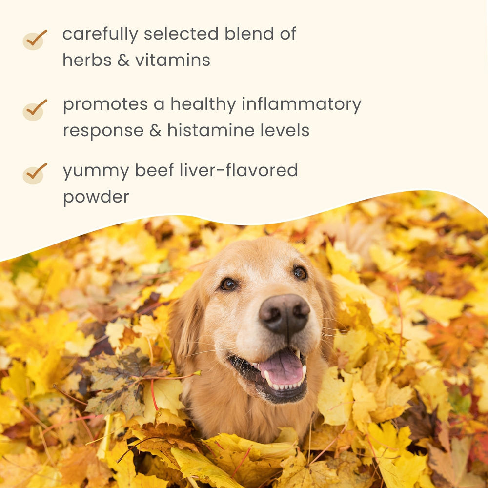 Quercetin vitamin C nettle leaf blend supports immune and histamine balance