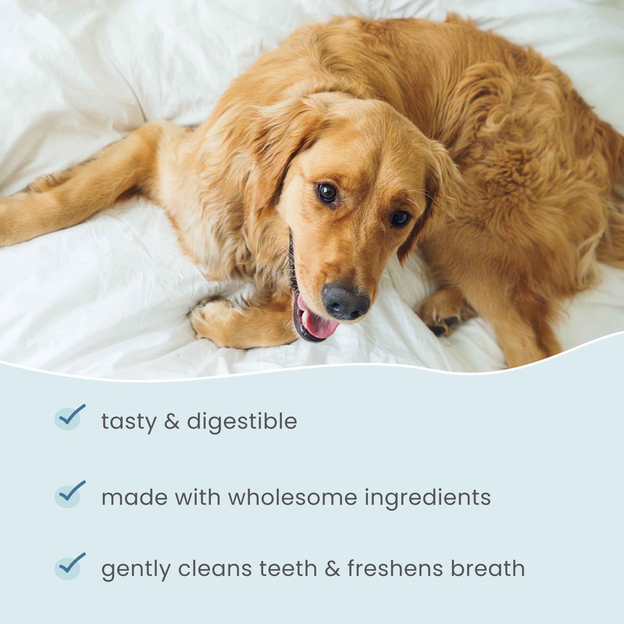 No wheat or artificial additives in Dr Mercola Dental Chew Bones