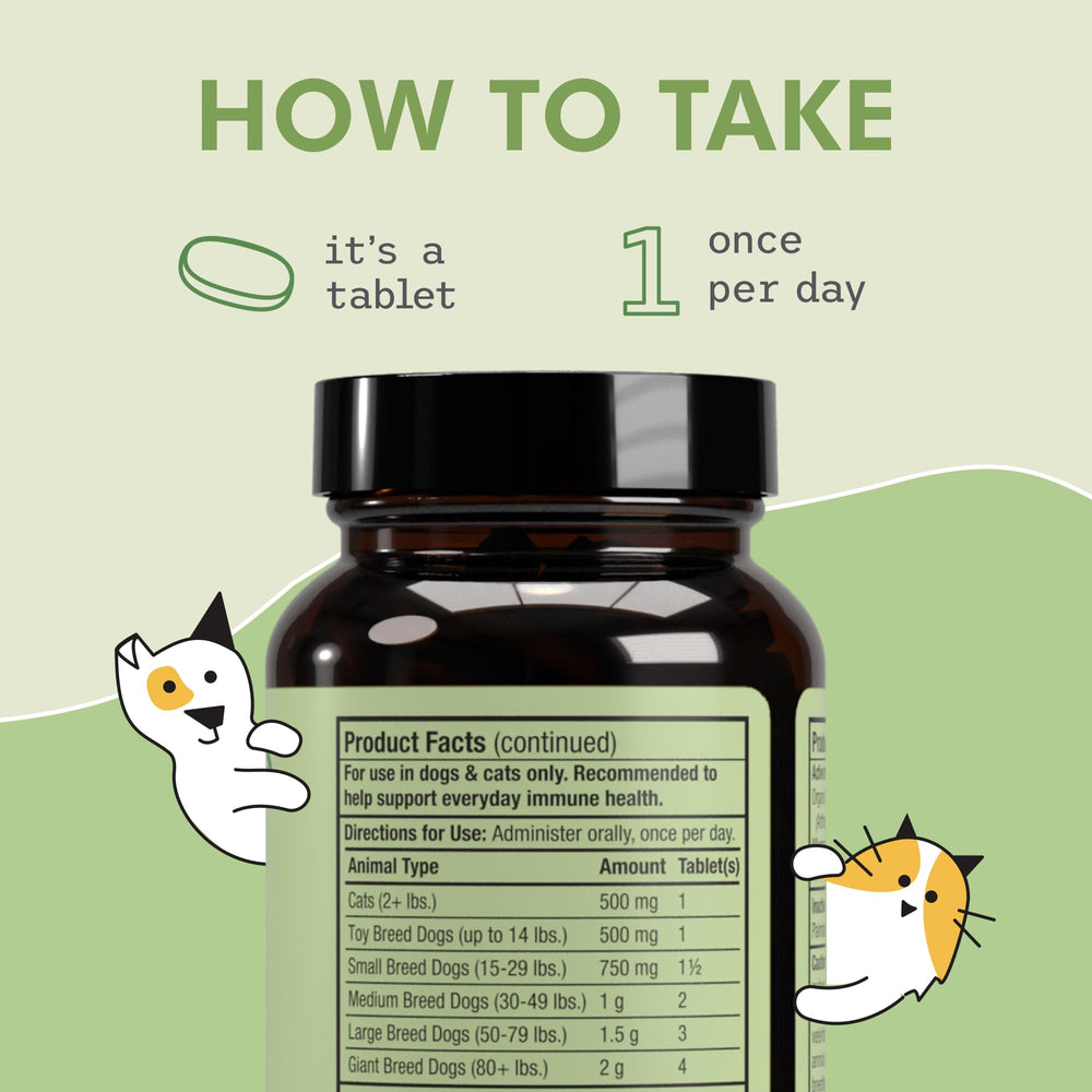 Dog-friendly serving scene with Dr. Mercola SpiruGreen for pets