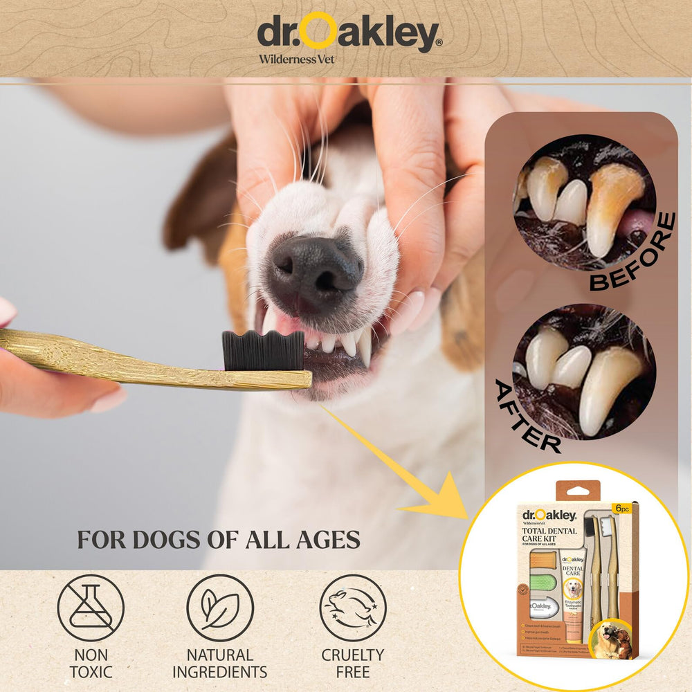 Dr. Oakley Total Dental Care Kit peanut butter flavor toothpaste tube ready for brushing.