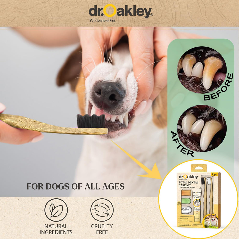 Dr. Oakley travel case keeps brushes and toothpaste organized