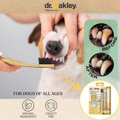 Dr. Oakley travel case keeps brushes and toothpaste organized